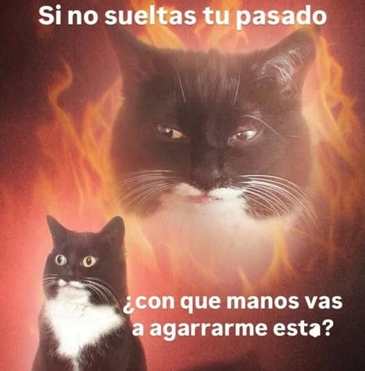 Top frases celebres de 2025: si no sueltas tu pasado con qué manos me vas a agarrar esta - meme