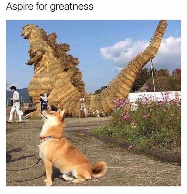 Dream big, even if you’re just a doggo - meme
