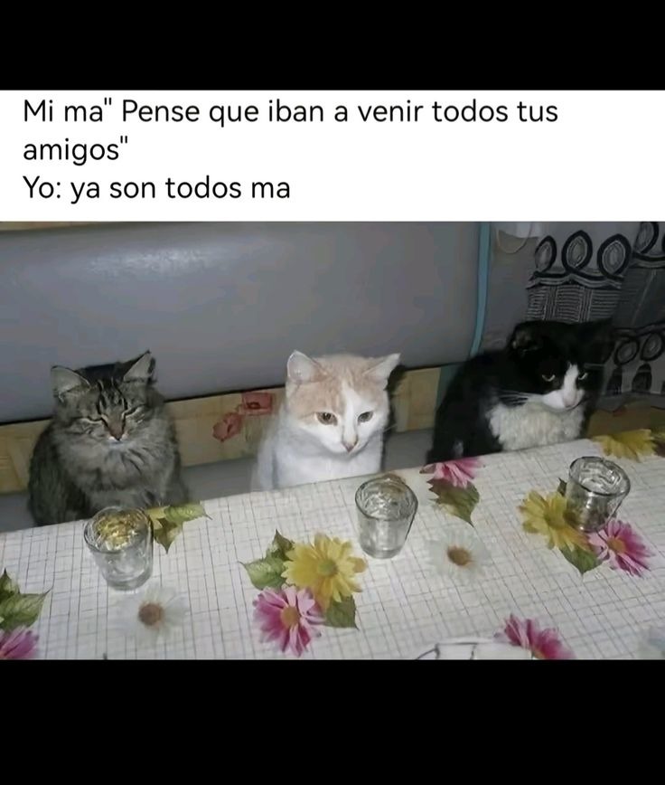Eres flan - meme