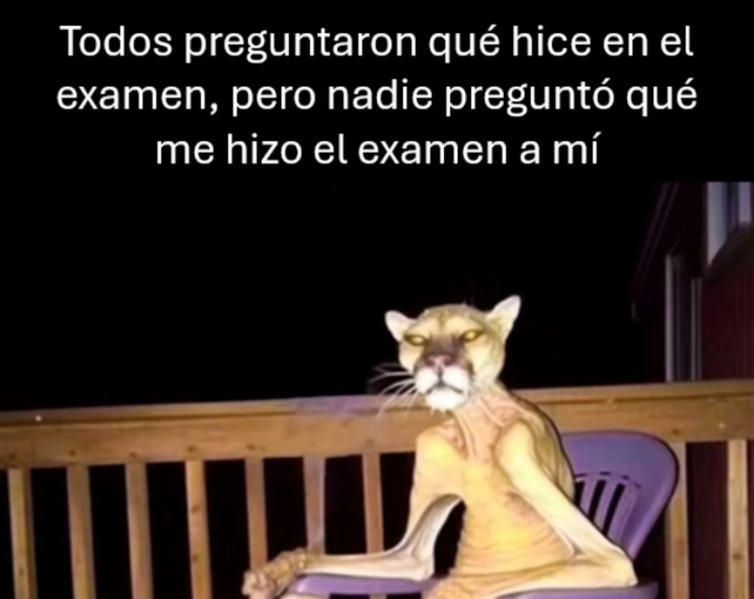Todos preguntan qué saqué en el examen, pero nadie cómo salí emocionalmente - meme