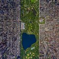 central park in a cool perspective