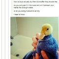I Wanna Duck Now