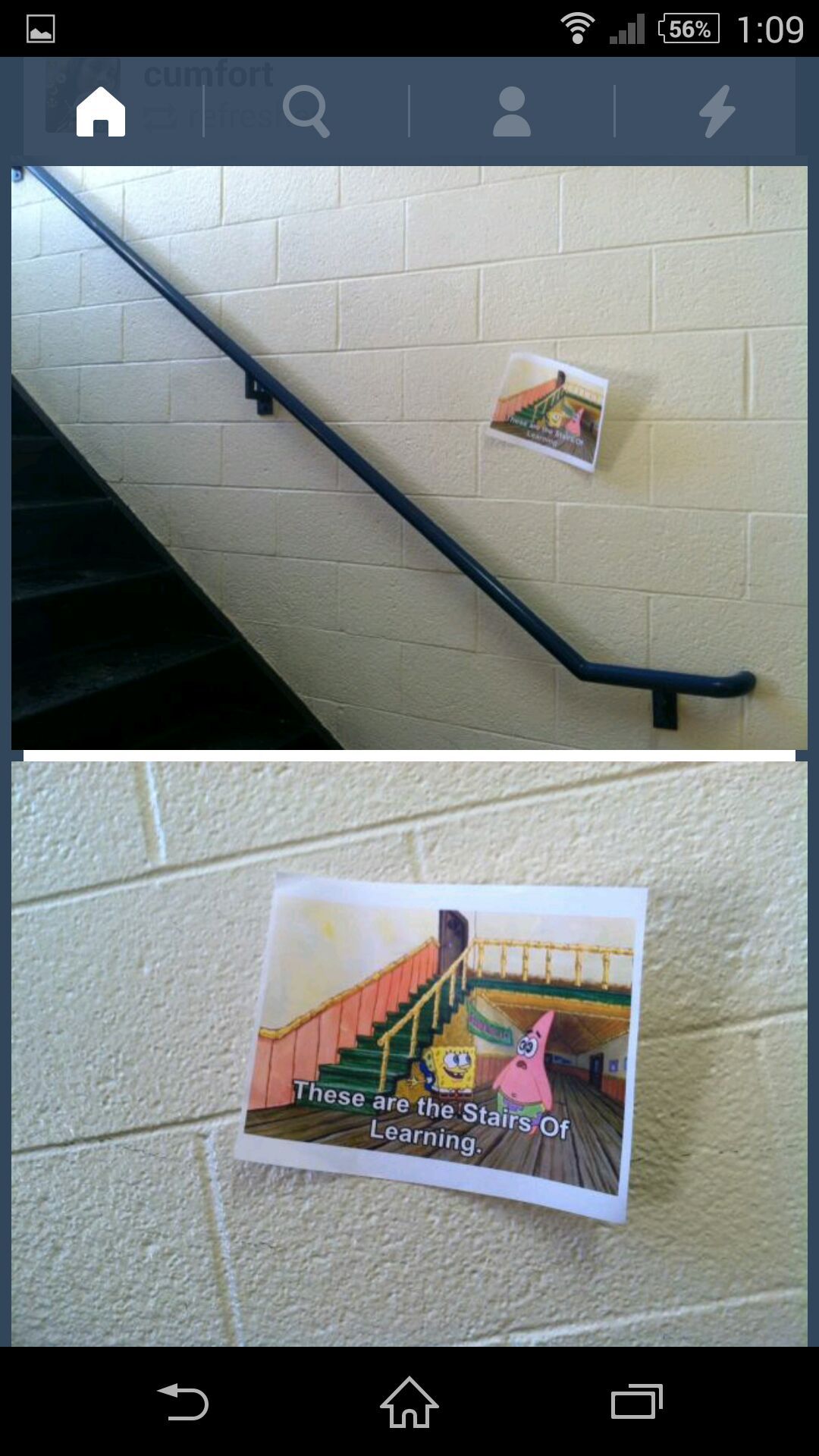stairs of learning patrick - meme