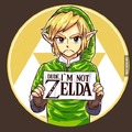 Finally a picture to describe Links feeling about being called zelda