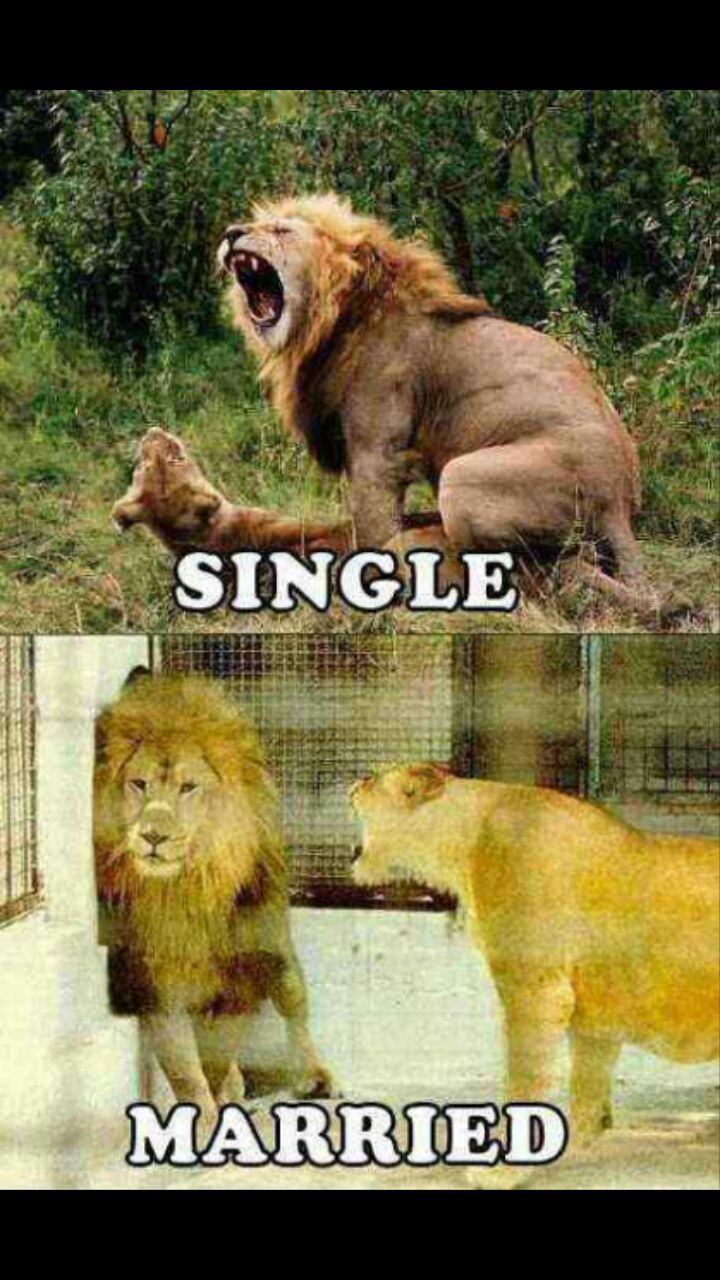 single vs married - meme