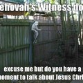 Jehovah's dog