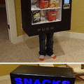 Vending machine costume