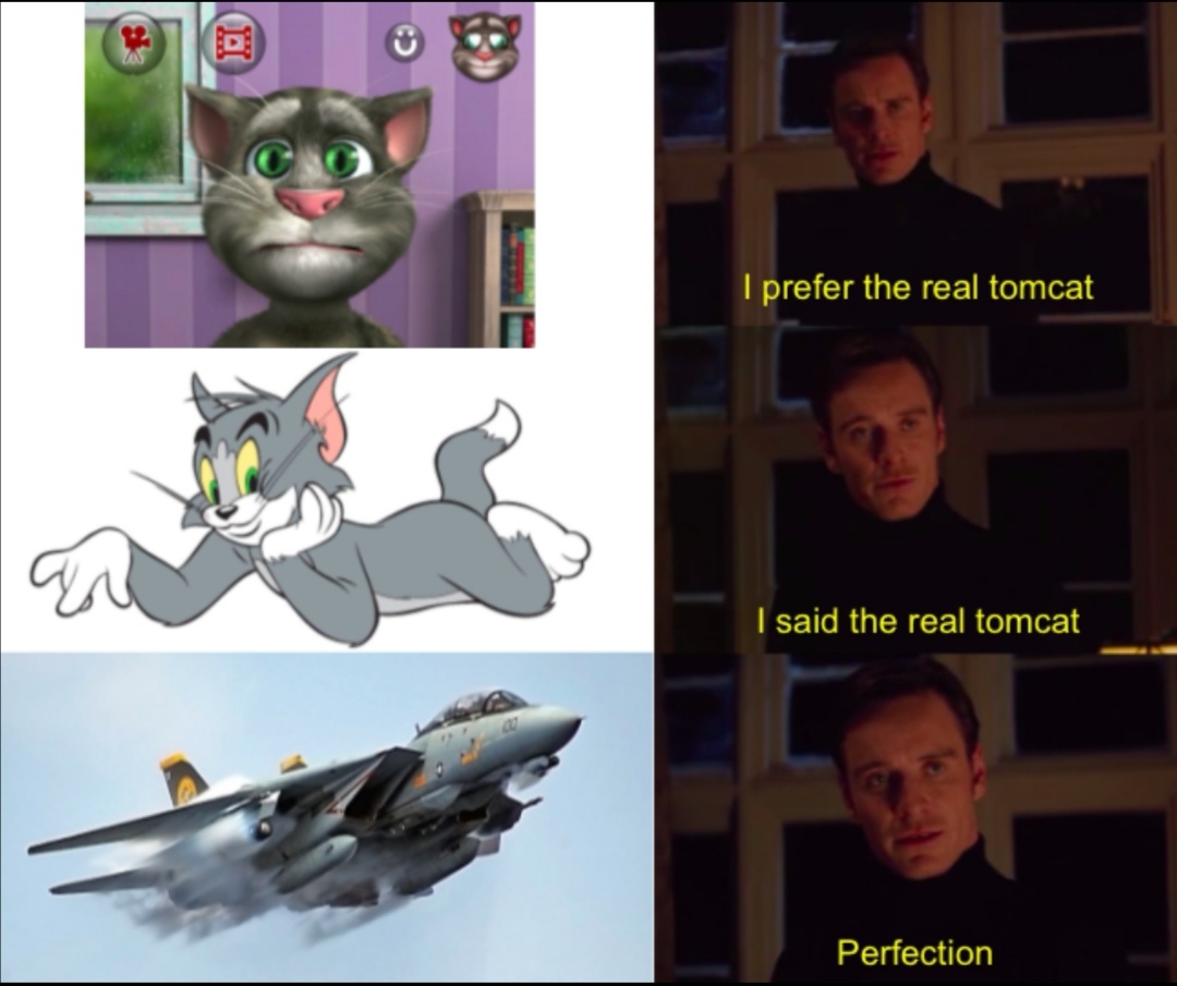 Tomcat = F-14 - meme