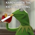 Stupid Karen 3