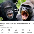 Mexichangos vs Brasil