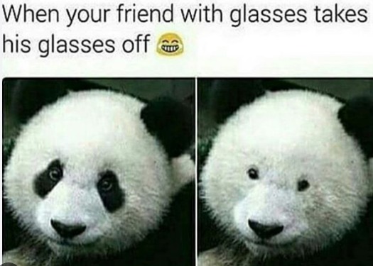 funny Panda glasses - meme