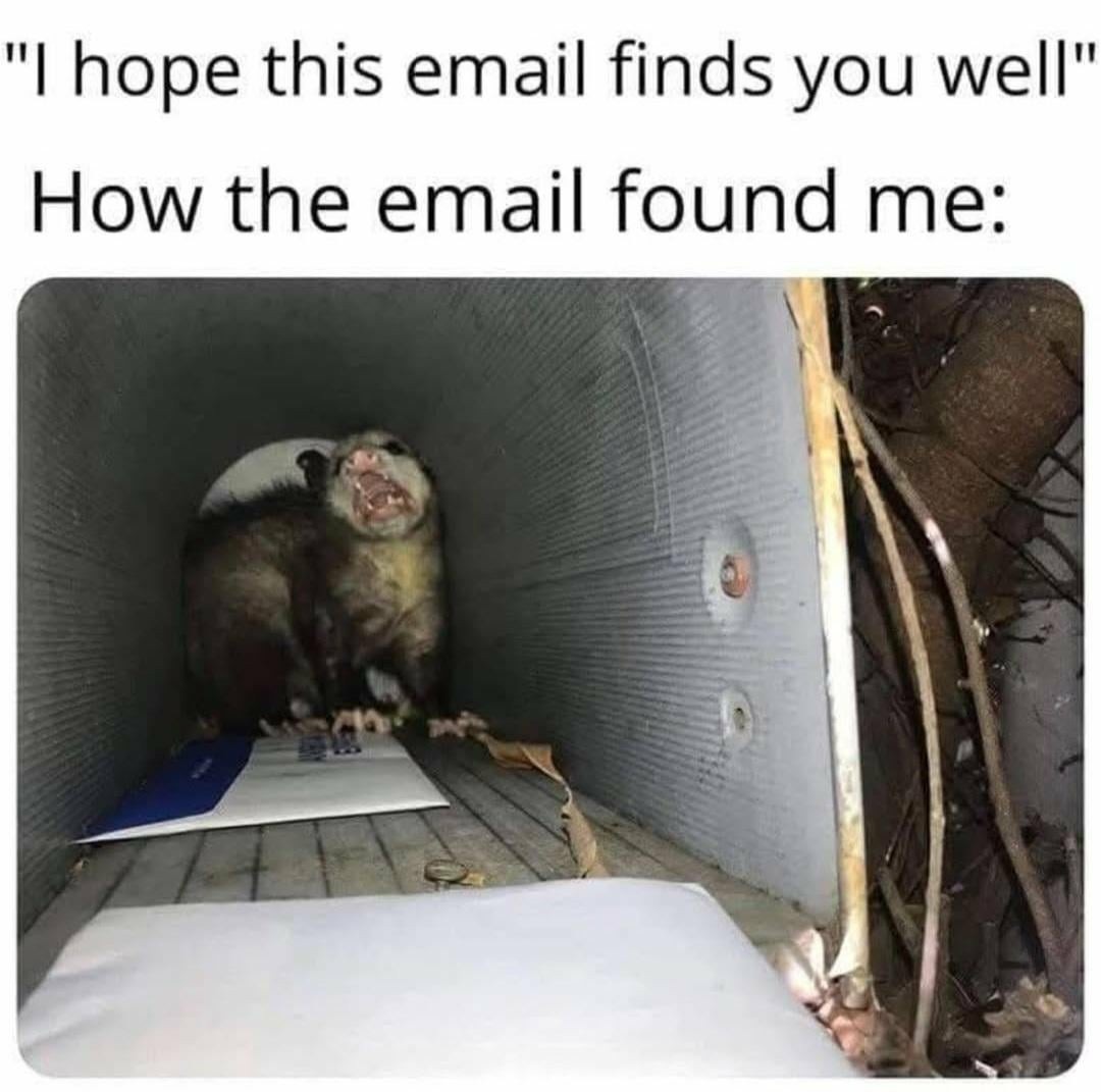 'Hope this email finds you well.' How the email actually found me: *under a pile of work* - meme