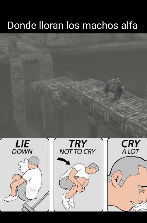 Lo mas triste de Shadow of the Colossus - meme