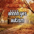 Ahhhh yes autism