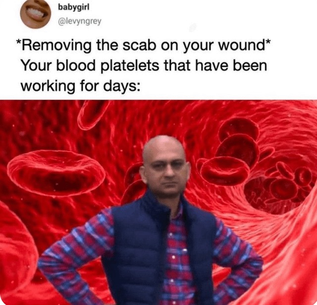all this work for nothing - meme