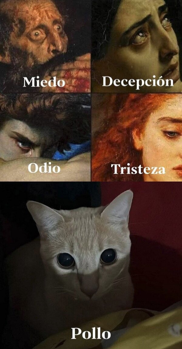Pollo a la vista - meme
