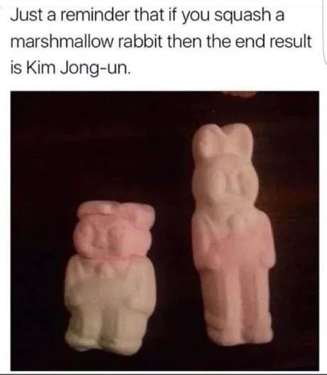 Kim Jong-un in marshmallow mode - meme