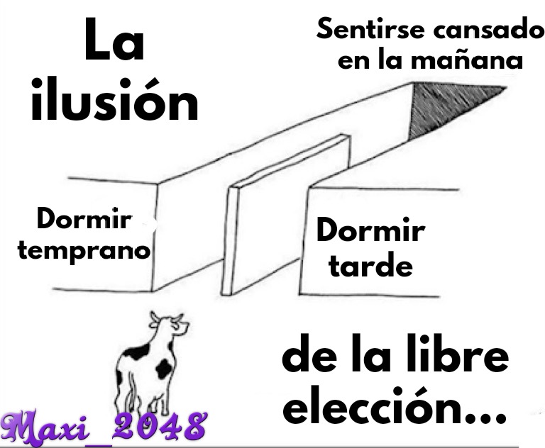 La ilusión de la libre elección... - meme
