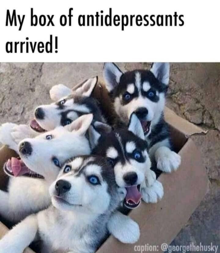Box of happiness - meme