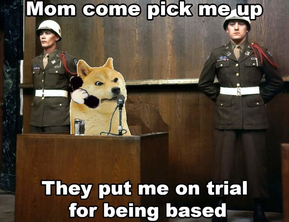 dongs in a trial - meme