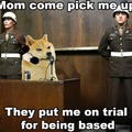dongs in a trial