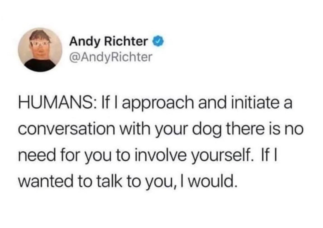 Talking to someone’s dog isn’t an invite for your input - meme