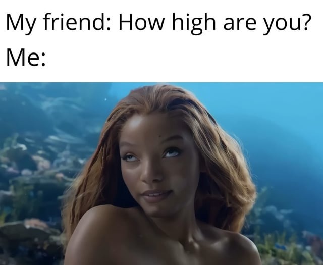 How high are you? - meme