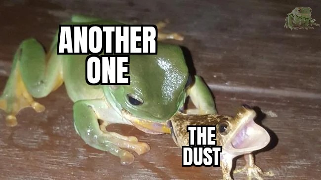 I know it's not Wednesday, but frog - meme