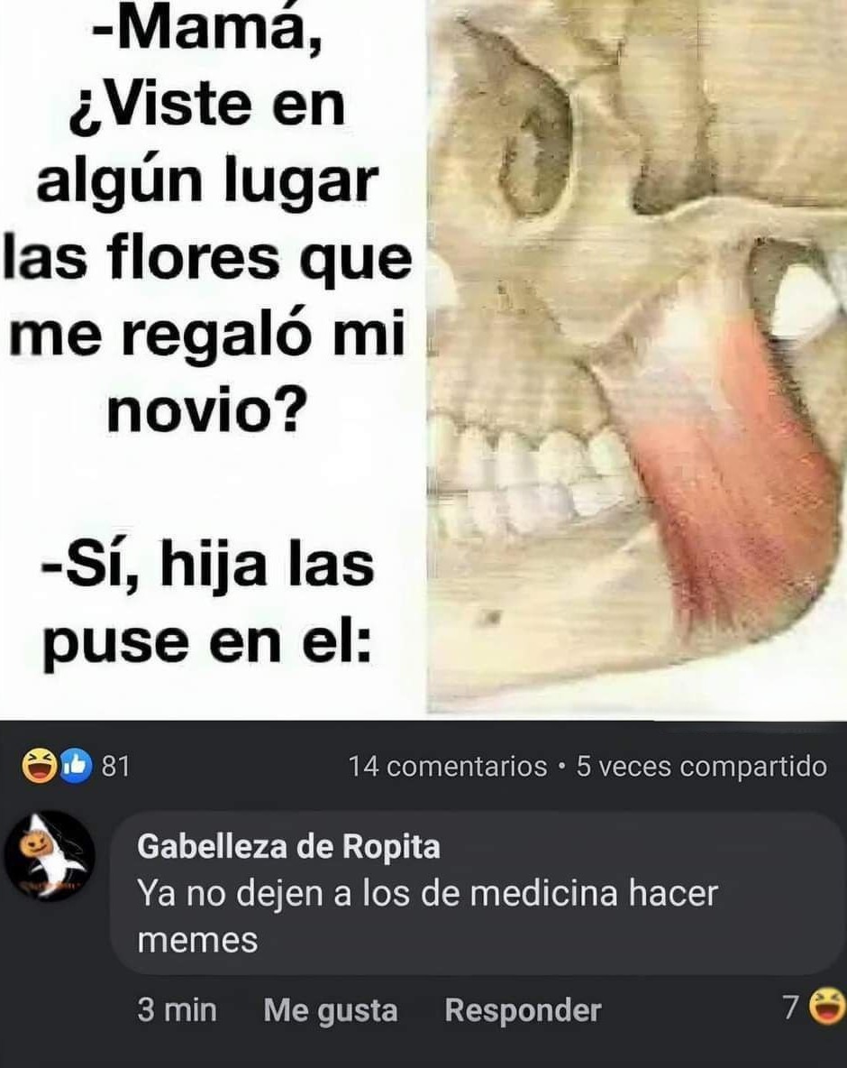 Mi madre usó las flores de mi novio pa decorar el baño - meme