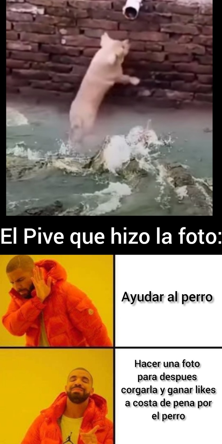 F POR EL PERRO - meme