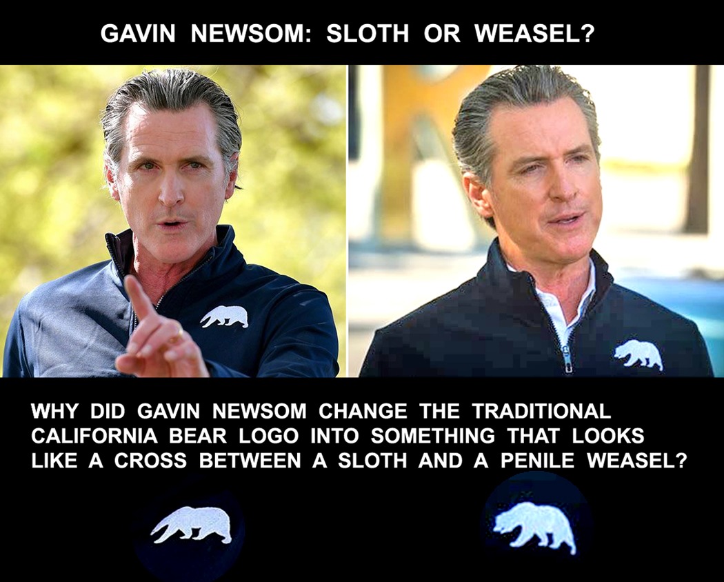 Gavin Newsom Changes California Bear Logo - meme
