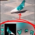 commented item thumbnail
