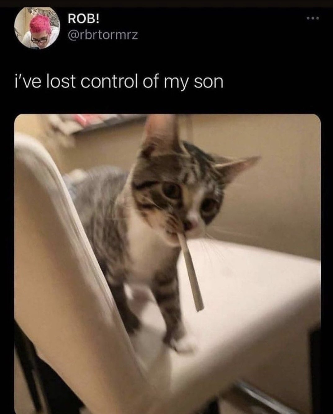 I’ve lost control of my son. He’s doing backflips now - meme