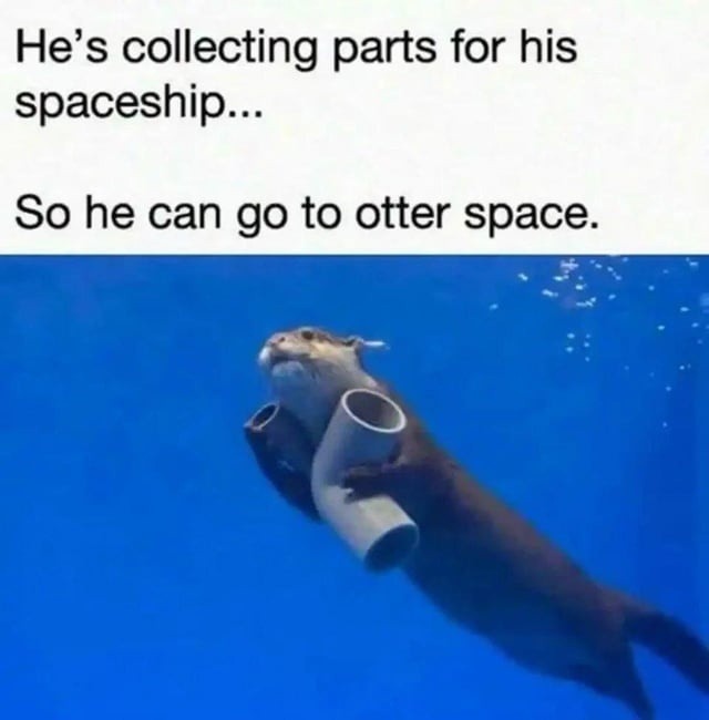 He’s off to otter space. Let him cook - meme