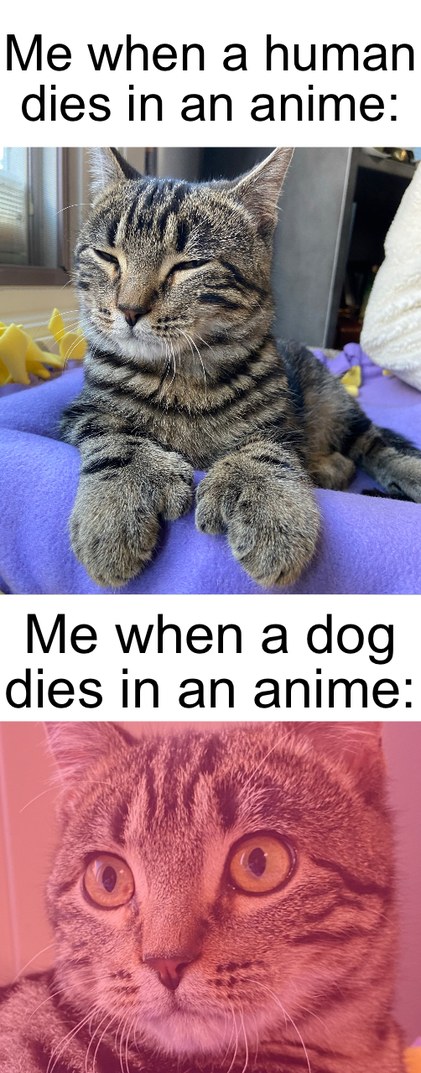Tigger watching anime - meme