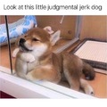 Little judgmental jerk