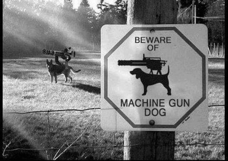 Cuidado con el perro metralleta!!! :omgrun: - meme