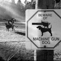 Cuidado con el perro metralleta!!! :omgrun: