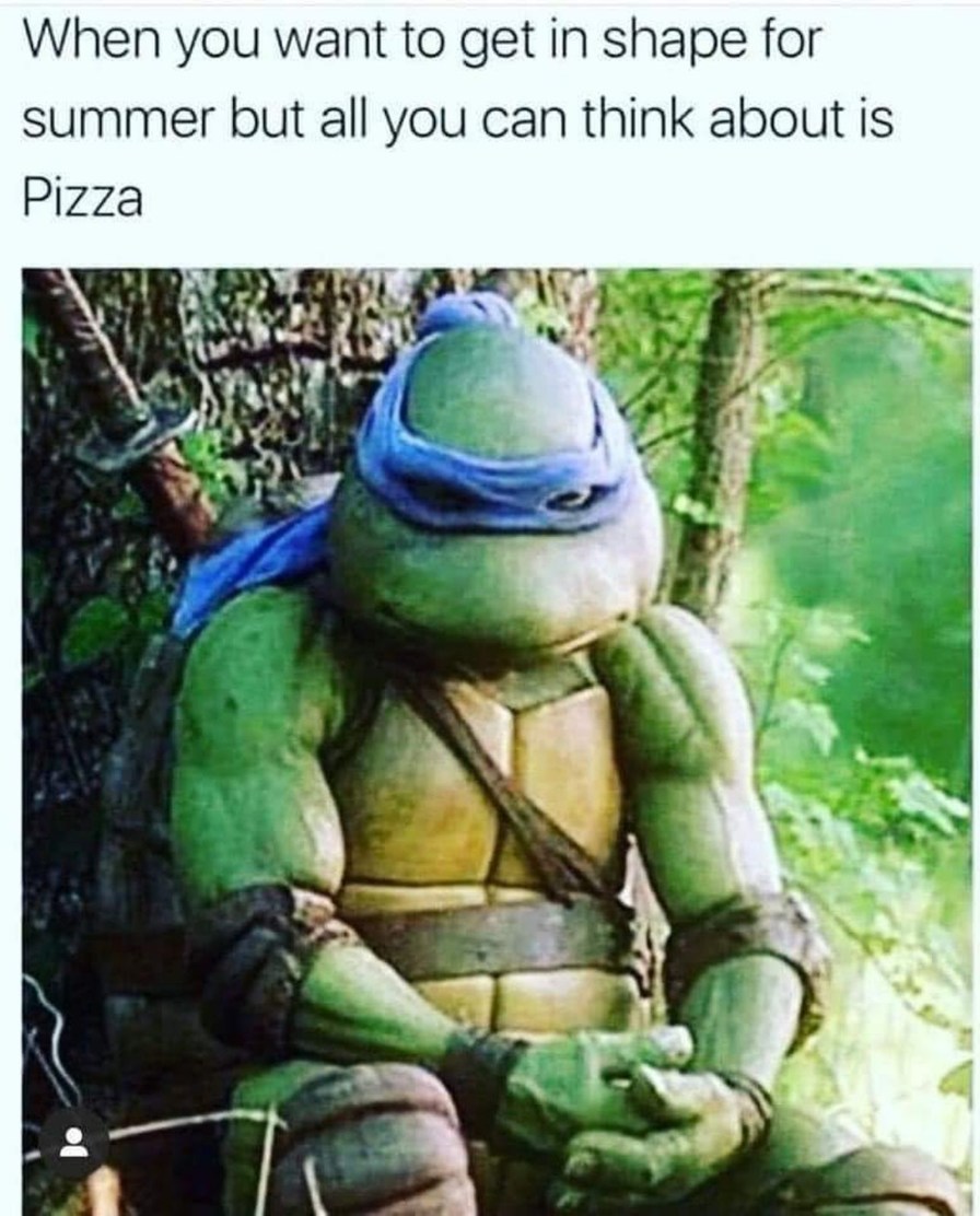 Sad turtles - meme