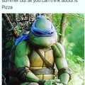 Sad turtles