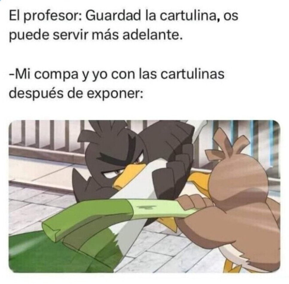 Mi compa y yo viendo qué hacemos con la cartulina después de exponer - meme