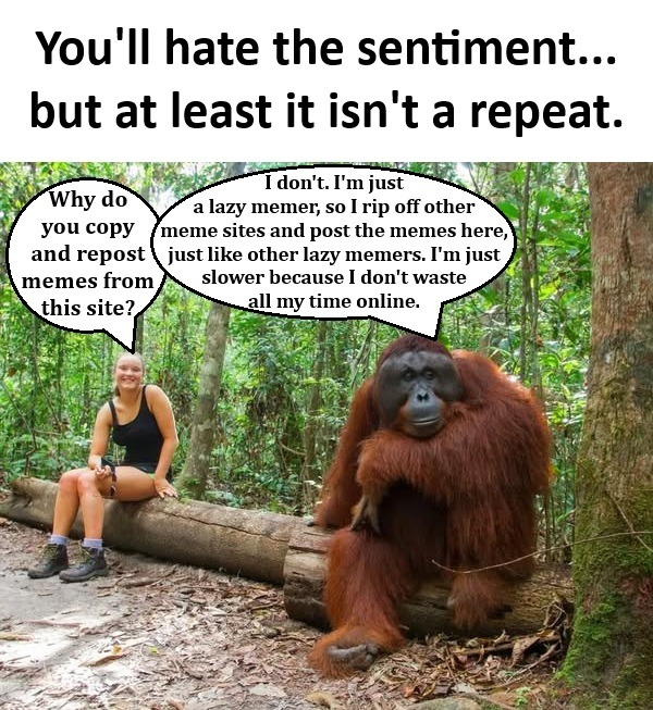 Not a Repost - meme