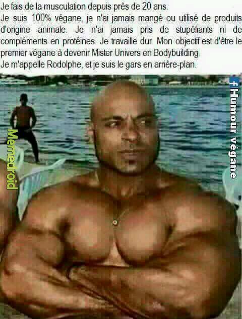 Le nouveu thibo in shape - meme