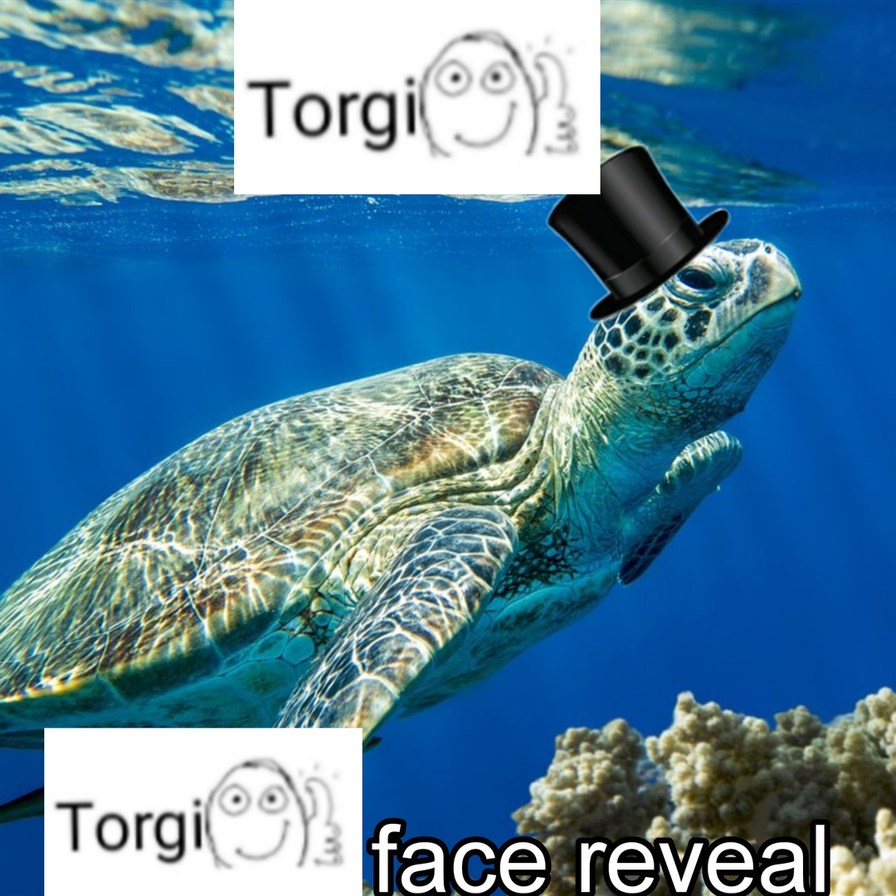 Torgi face reveal - meme