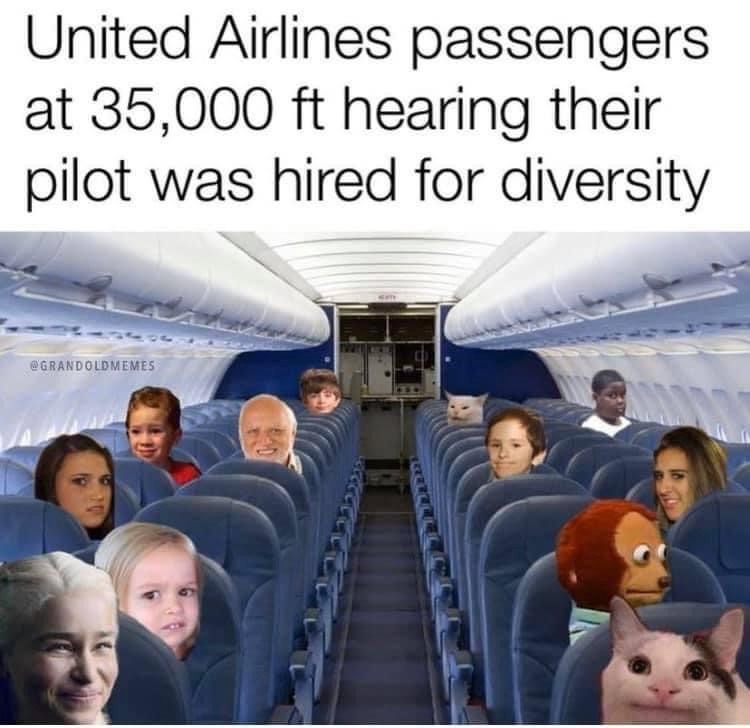 dongs in an airplane - meme