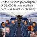 dongs in an airplane