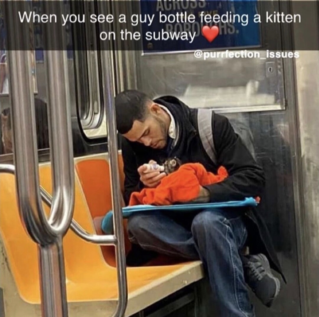Saw a guy bottle-feeding a kitten on the train and my heart exploded - meme