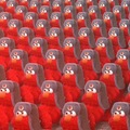 elmo army gathers in russia