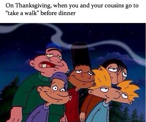 Thanksgiving dinner with your cousins - meme