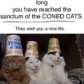 Coned cats
